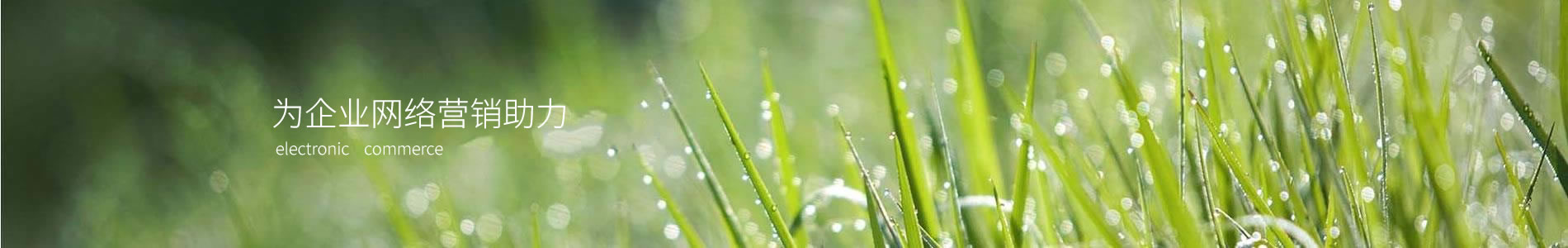 ԽܿƼ޹˾